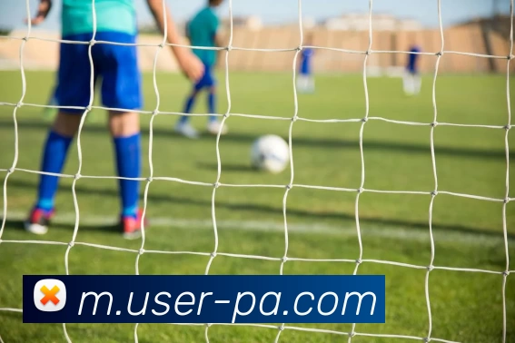 PA真人APP 封面图